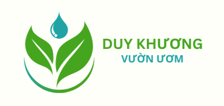 Keo Giống Bình Định | Vườn Ươm Duy Khương